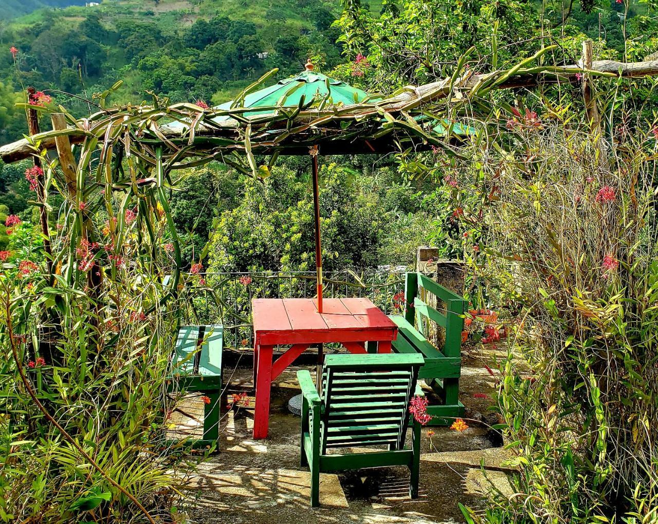 Prince Valley Guesthouse Irish Town Dış mekan fotoğraf