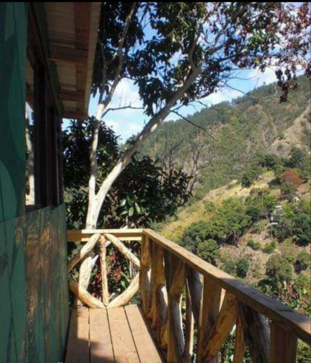 Prince Valley Guesthouse Irish Town Dış mekan fotoğraf