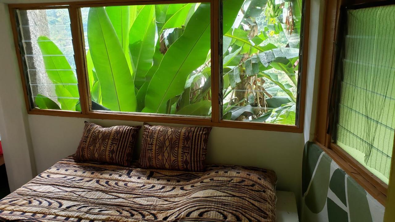 Prince Valley Guesthouse Irish Town Dış mekan fotoğraf